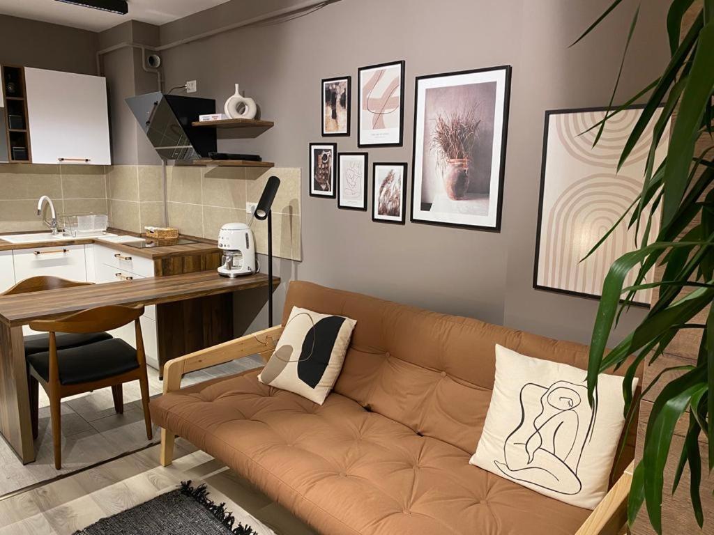 Shi Zi Junior Suite Iasi Bagian luar foto